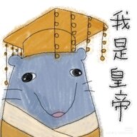 FiumeCat