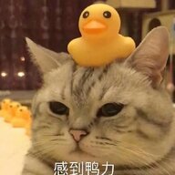 小吞一口