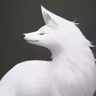 ArcticFox520