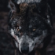 IntegrationCanis