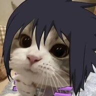 帅一猫