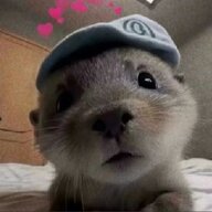 QQ0627