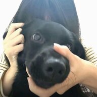 咸鱼巴巴