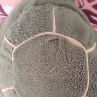 SeaTrutle
