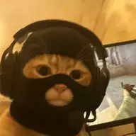 村长