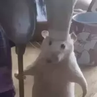 笑钏