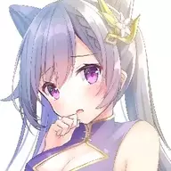 sslyj