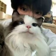 孤.