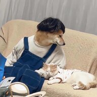 Ghihgghjjo