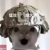 稚归