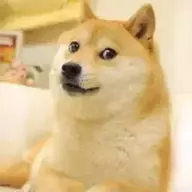 小宗吖