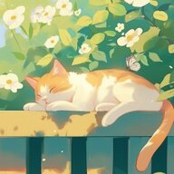 linkey