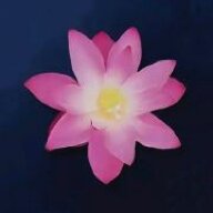 鸿园幻梦
