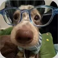斩影