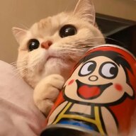 2333333333