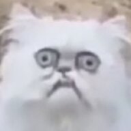 Men