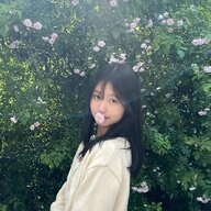 leeblues