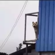 铁憨憨的铁憨憨