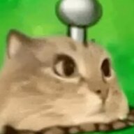 425187