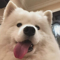 散打哥