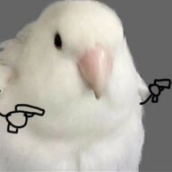 高温