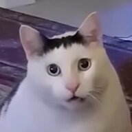黄乐涛