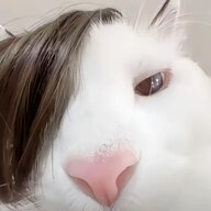 mihuan666