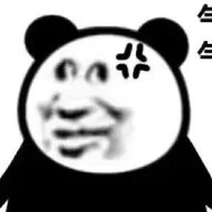 2895392072