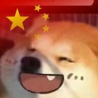 前期摸