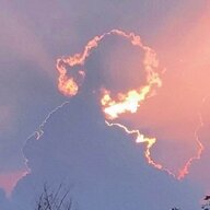 薇尔莉特·伊芙加登