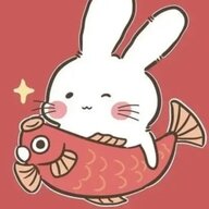 兔加索
