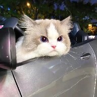 月银皖
