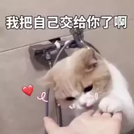 HM完成