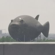 蒋某人