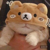 XIAYANG.