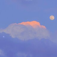 Ace晚春