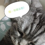 Limomohan