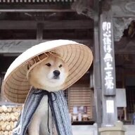 wyqp