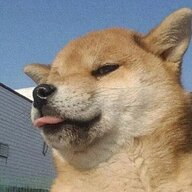 漓梦