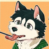 DogTuo647