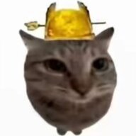 13254