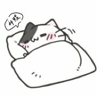 鱼卷晕晕