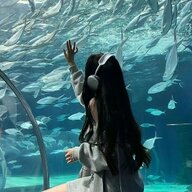 橘里橘气