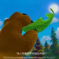wangfsy