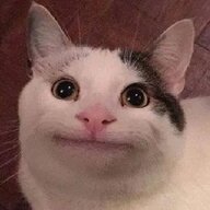 便便