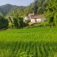szsd