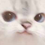 积极ssdsad