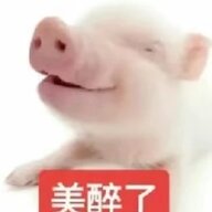 yyyyyss