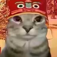 甄枊