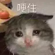 借问